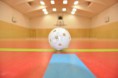 /album/photo-gallery-ball/dsc-0055-8-mark-jpg/