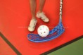 /album/photo-gallery-ball/dsc-0066-8-mark-jpg/