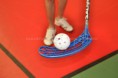 /album/photo-gallery-ball/dsc-0067-8-mark-jpg/